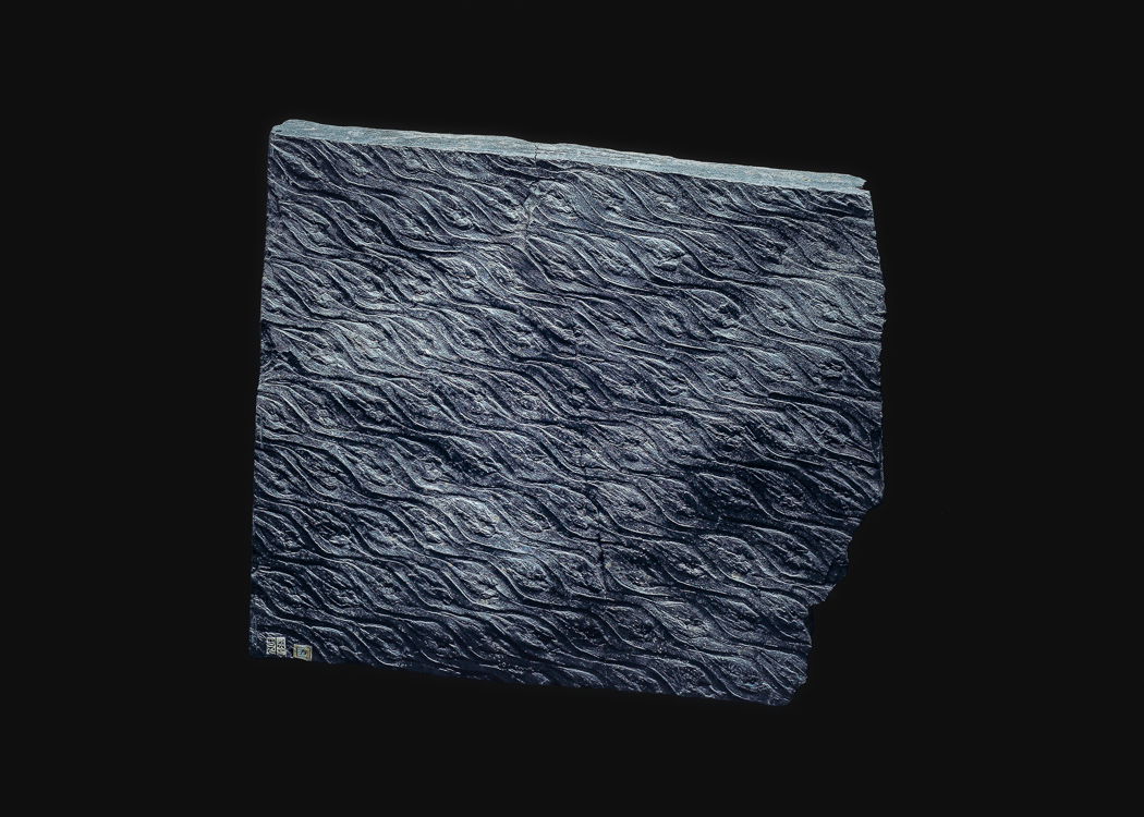 Книга природы – афиша