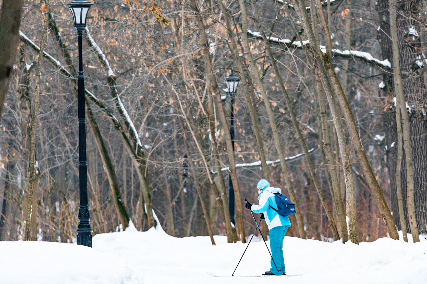 Открываем Антарктику вместе – афиша