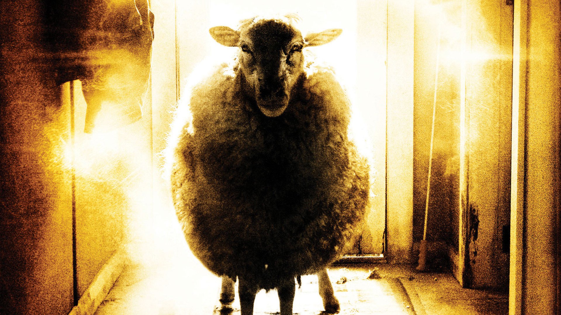 Паршивая овца – афиша