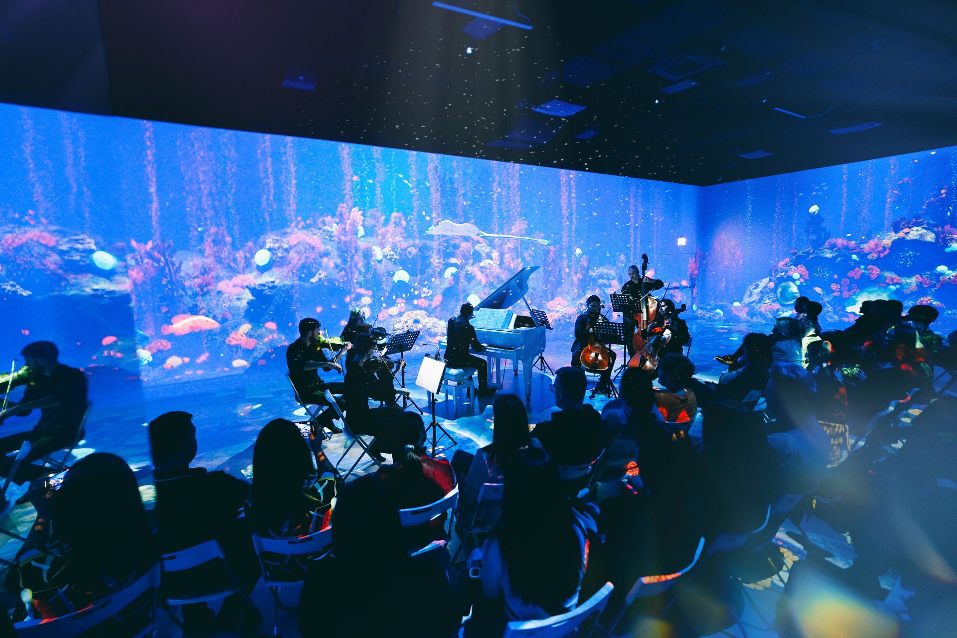 Ночной концерт: Подводный мир Людовико Эйнауди. HighTime Orchestra – афиша