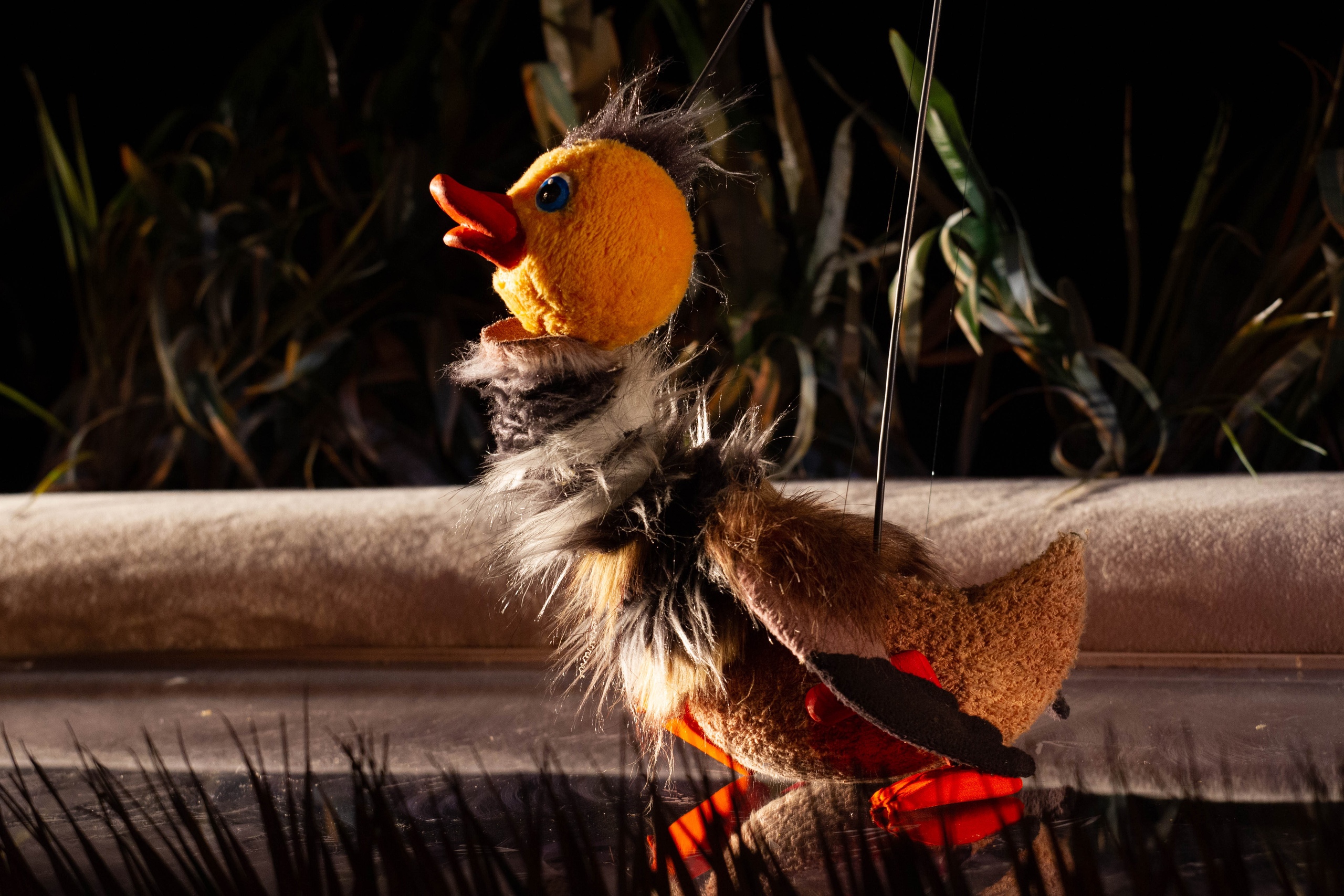 Серая шейка – афиша