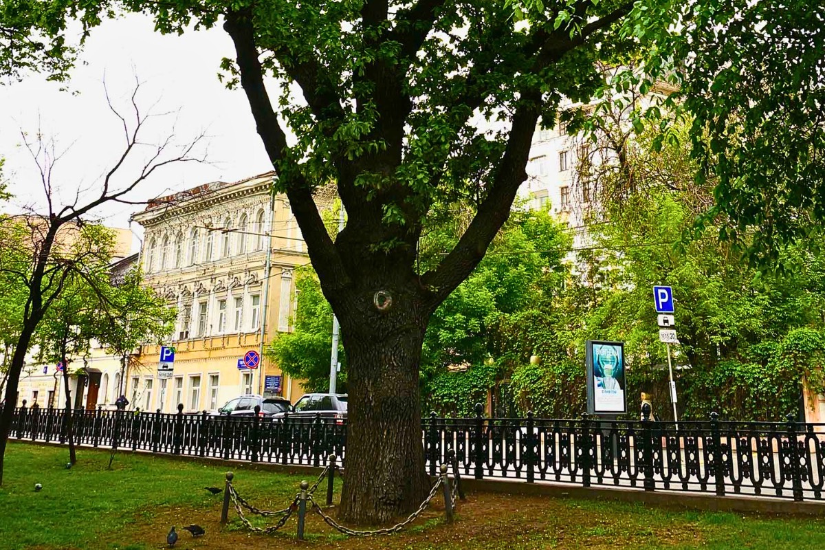 Тверской бульвар. Ис тория и тайны – афиша