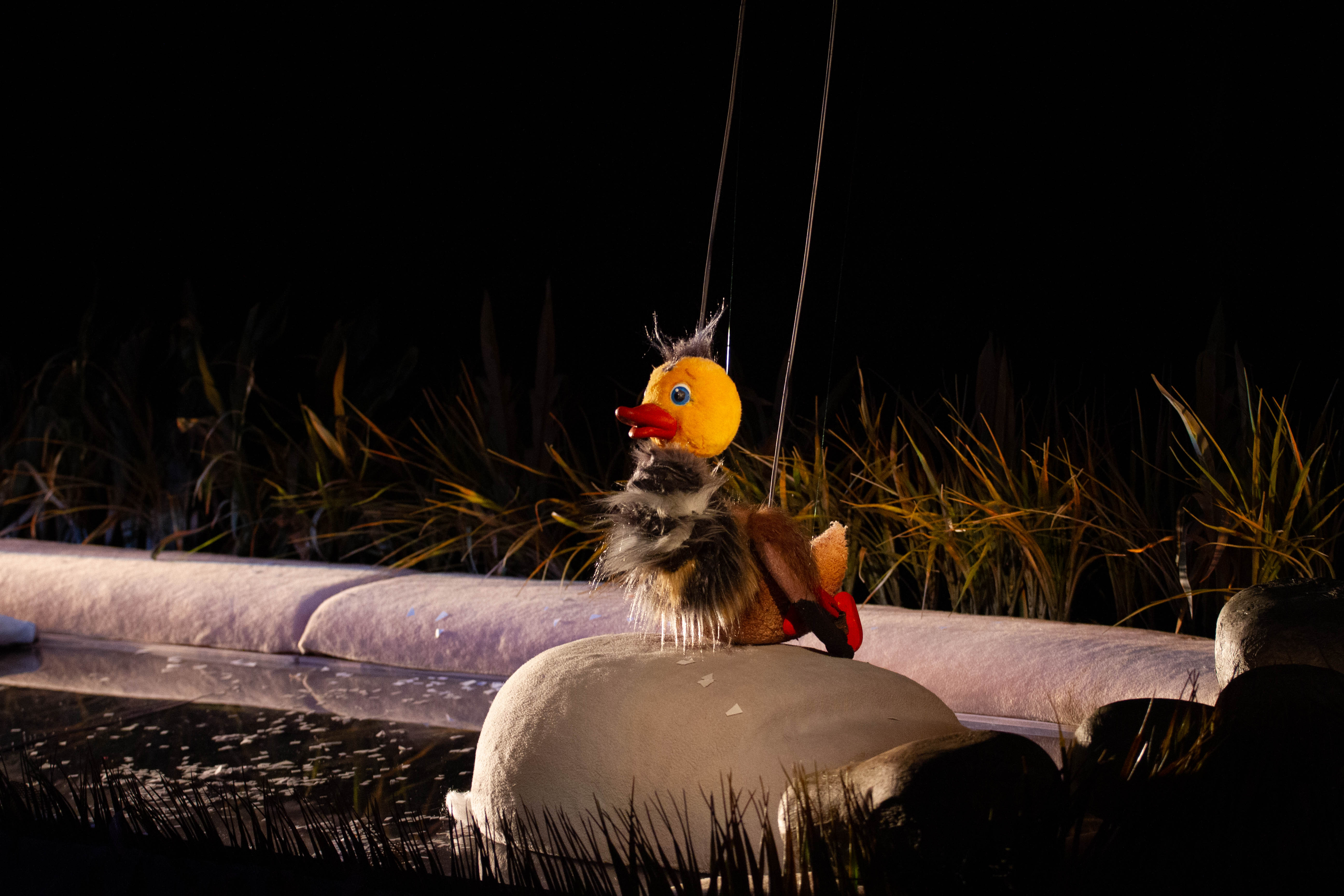 Серая шейка – афиша