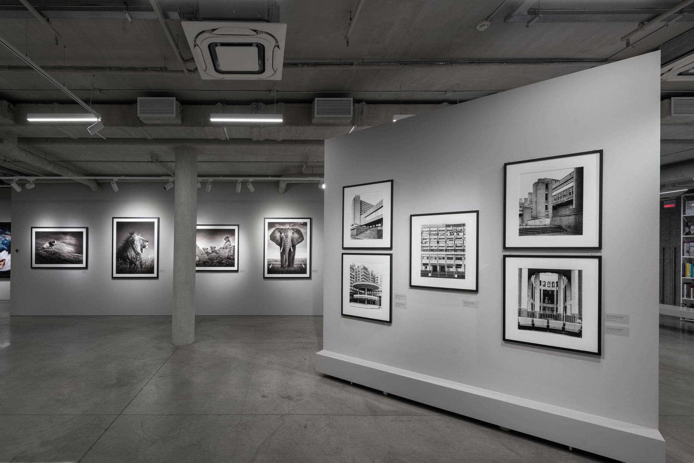 Memento vivere. Помни о жизни. Современная фотография – афиша