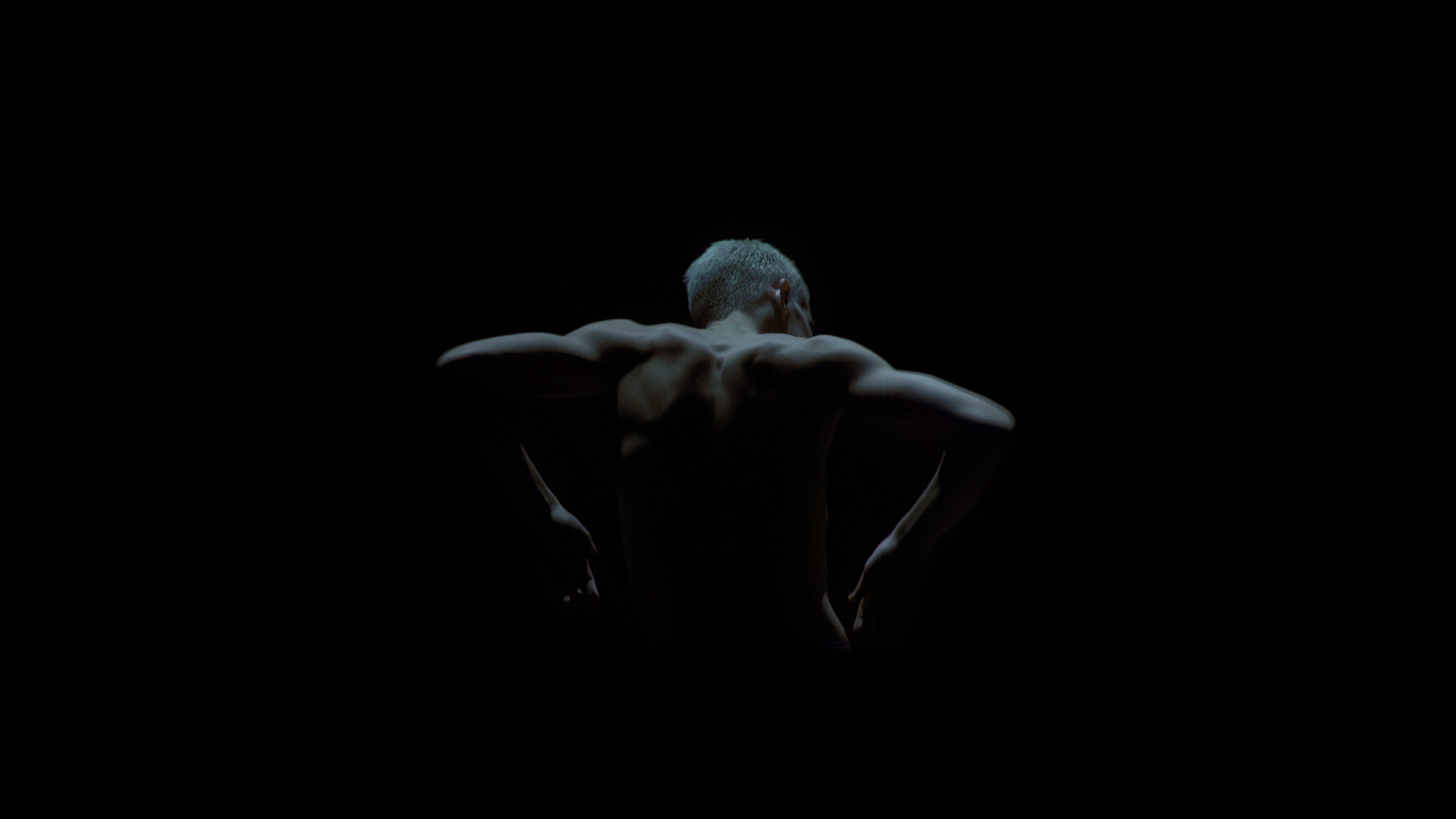 Чудо. Echo – афиша