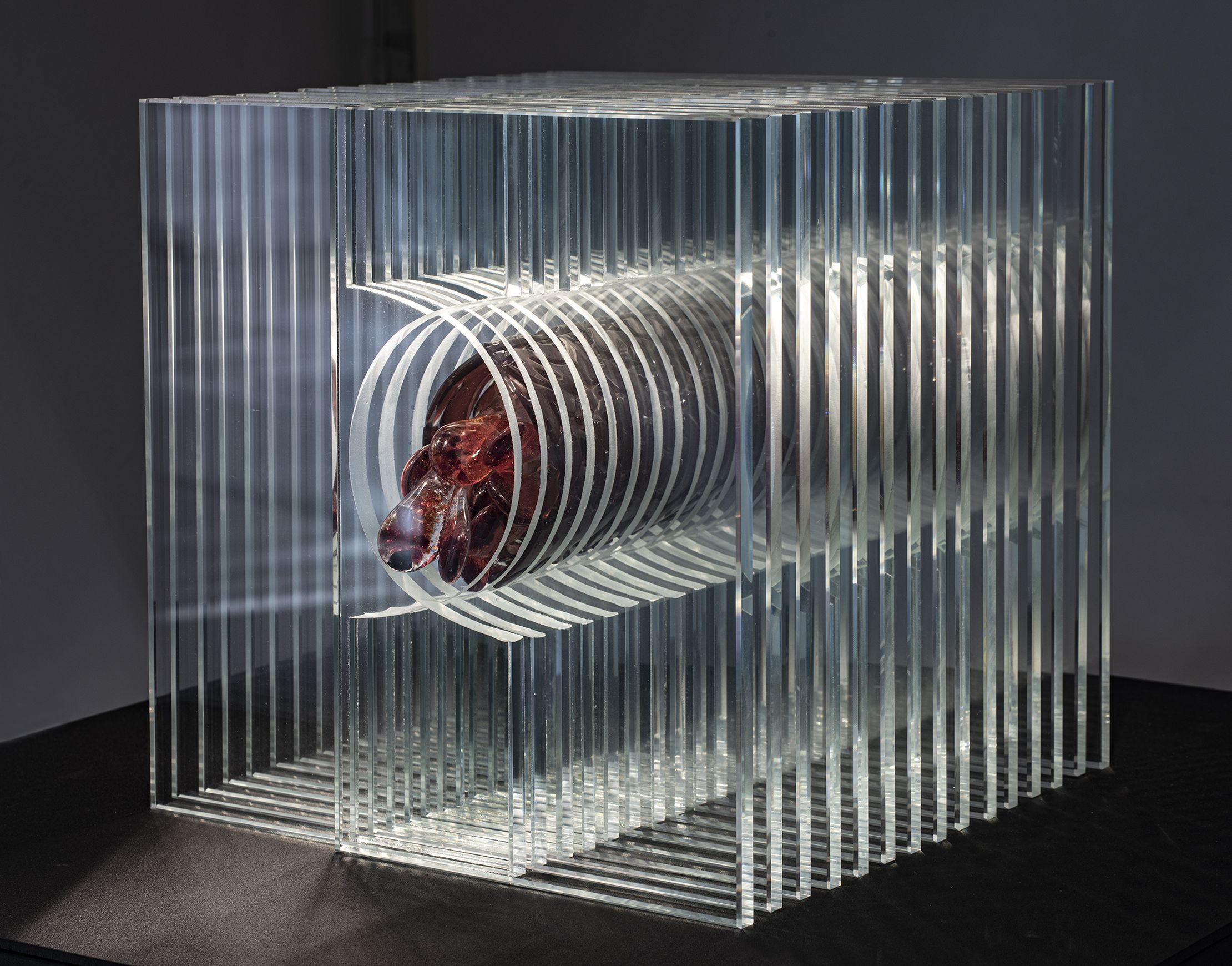 Выставка Олеся Кот. Прозрачный мир, Санкт-Петербург – Афиша-Музеи