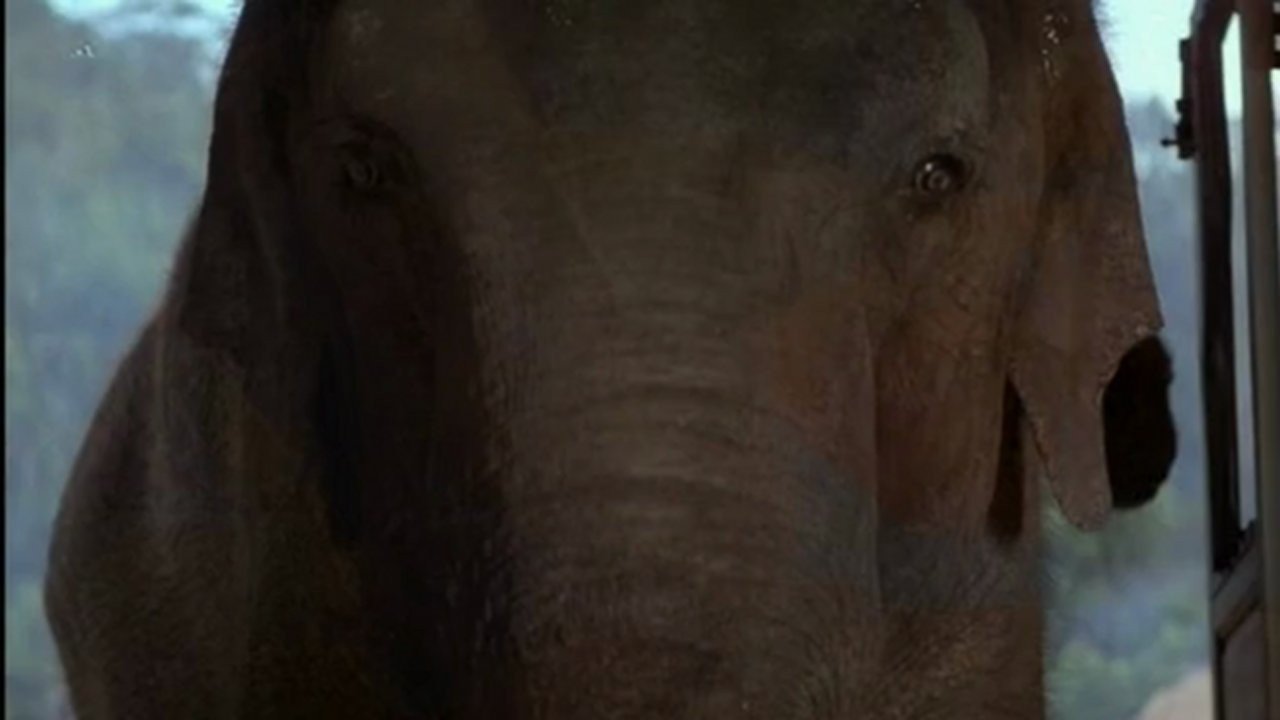 Операция «Слон» – афиша