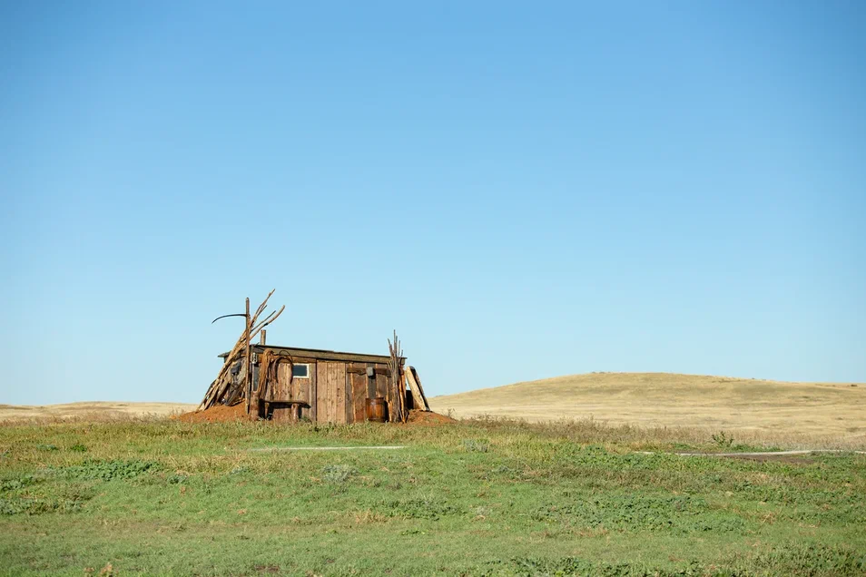 Моя собака — космонавт – афиша