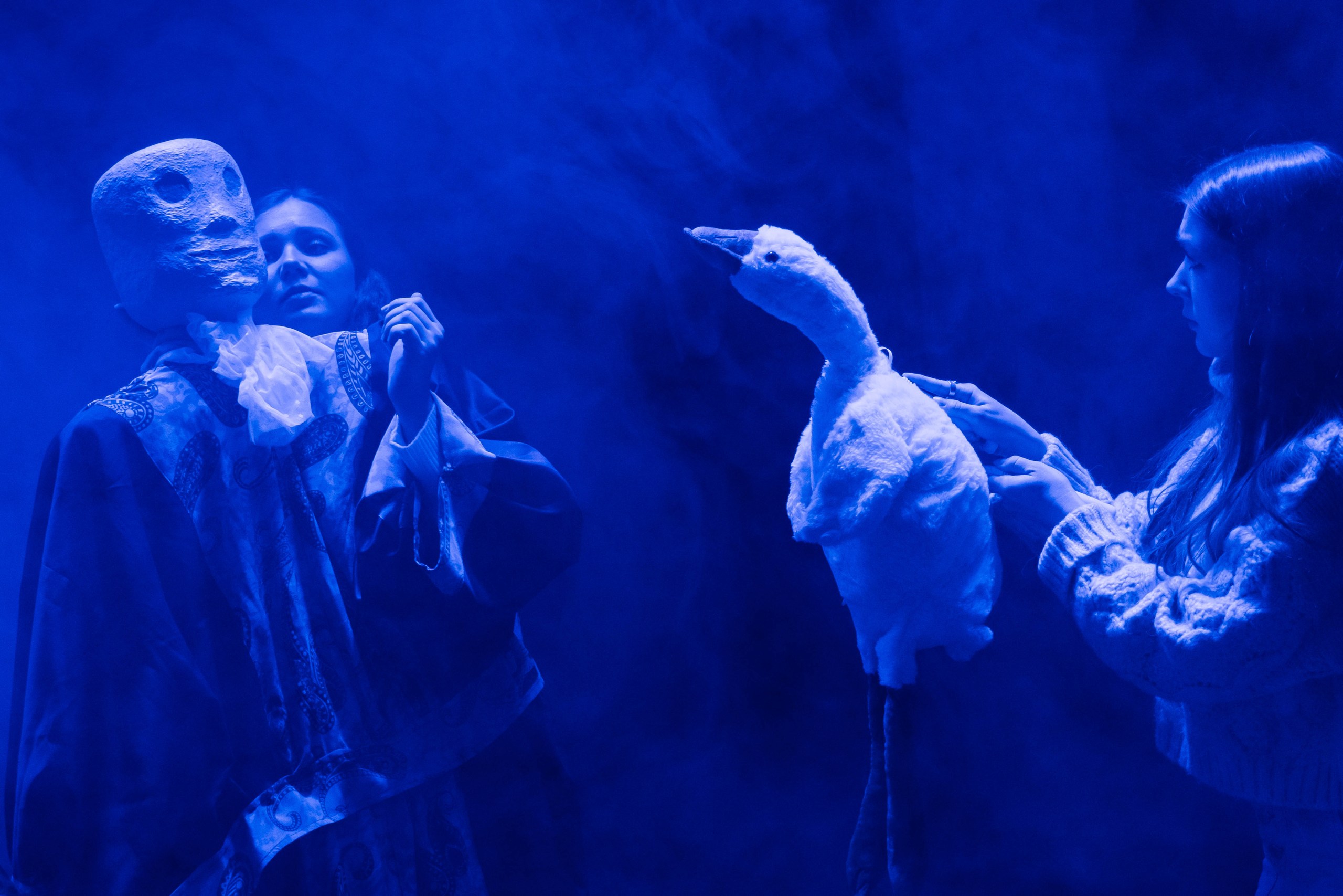 Утка, смерть и тюльпан – афиша