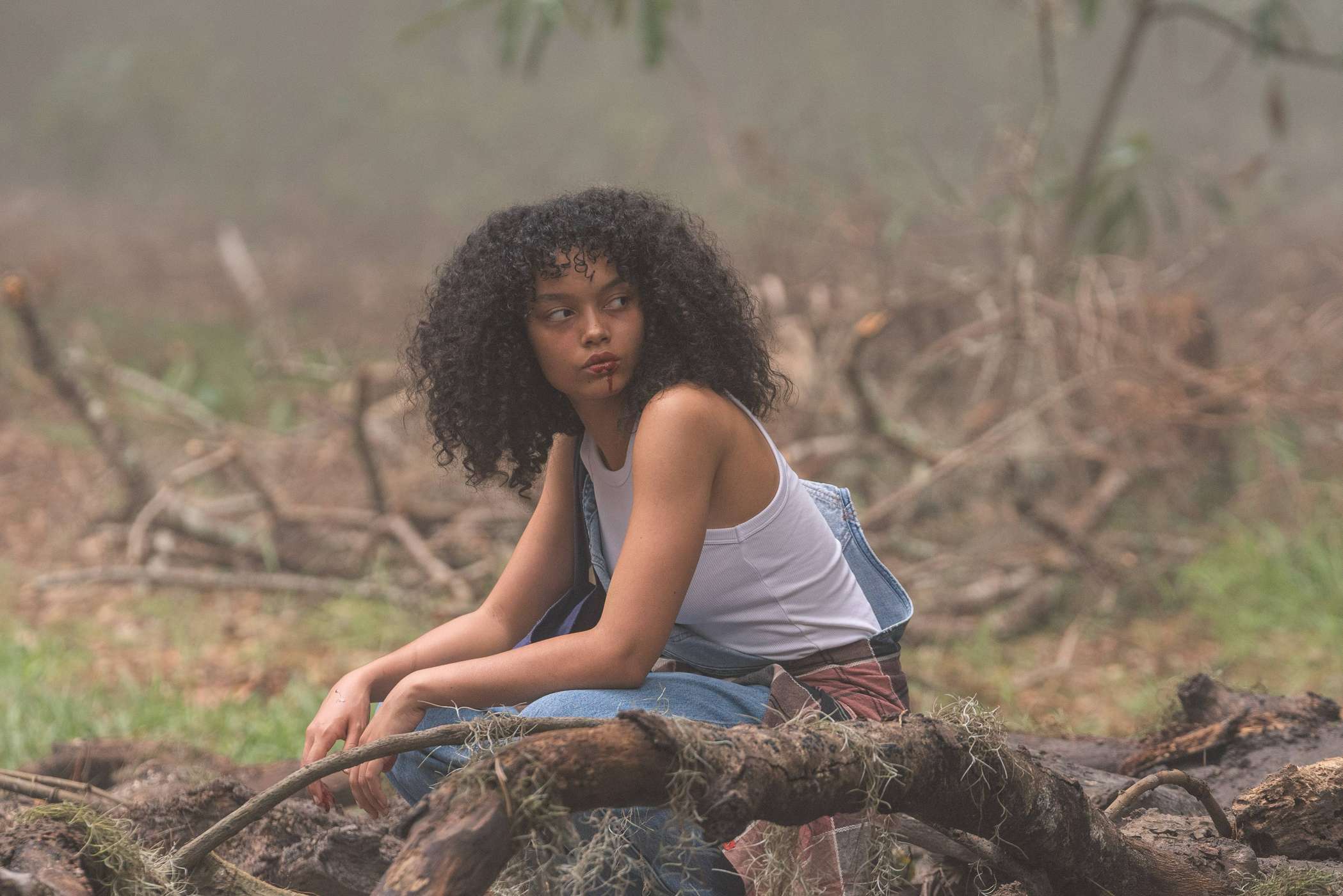 Уитни Пик – фото