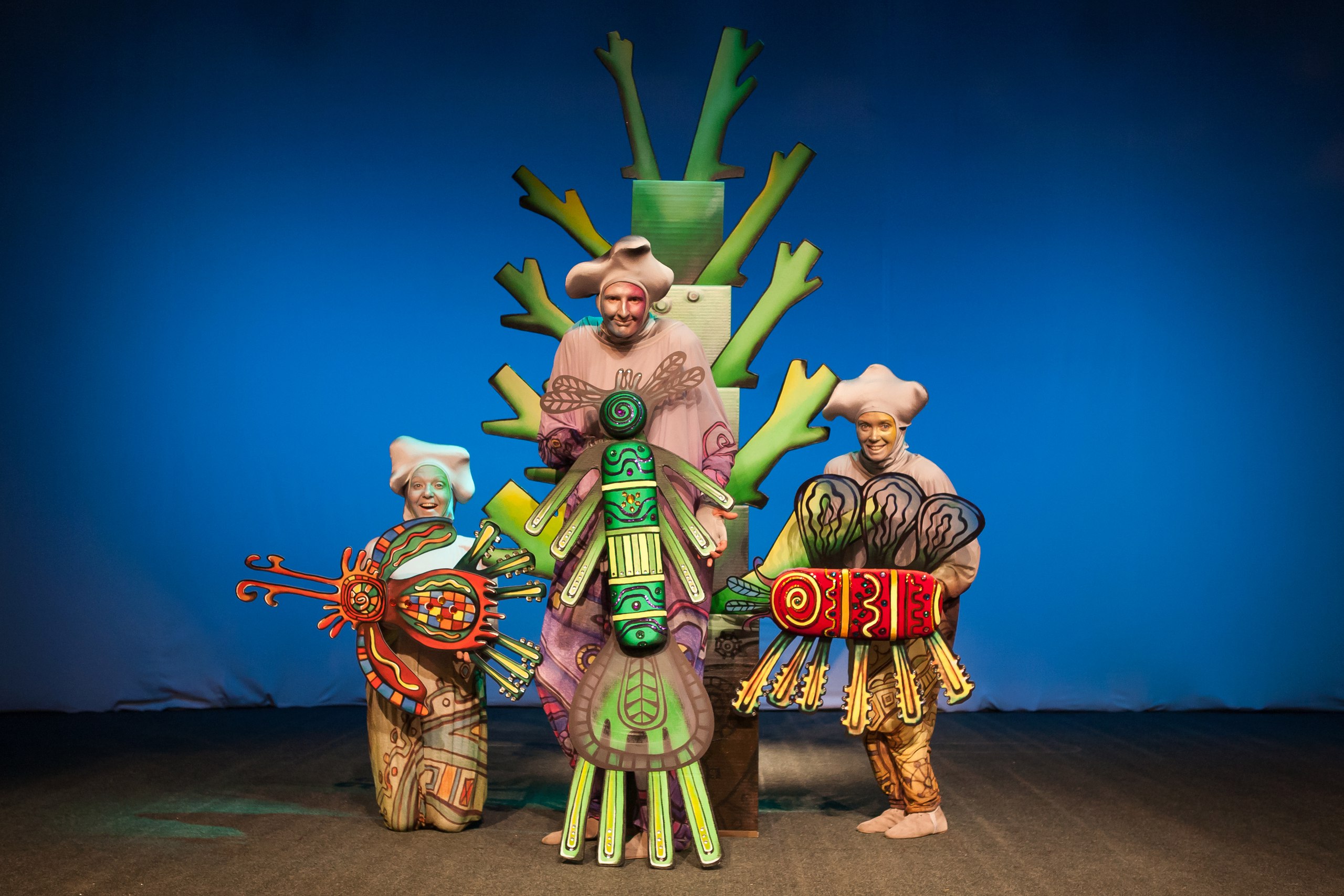 История бабочки – афиша