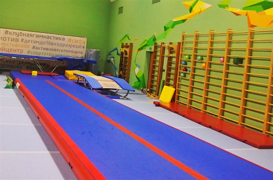 Европейский гимнастический центр в Лужниках – афиша