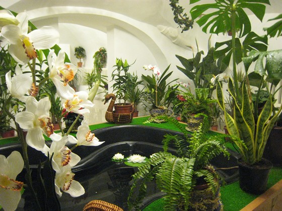 Музей бабочек «Тропический рай» – афиша