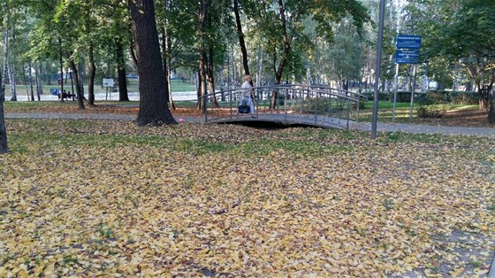 Лианозовский парк – афиша