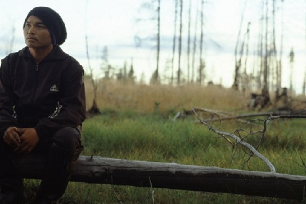 Как правильно собирать ягоды – афиша